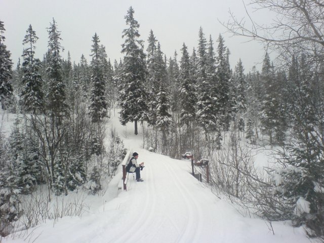 ingmarstenmarkplangrend.jpg
