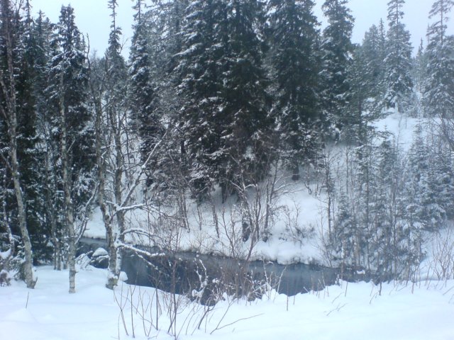 myrflodammmen1.jpg